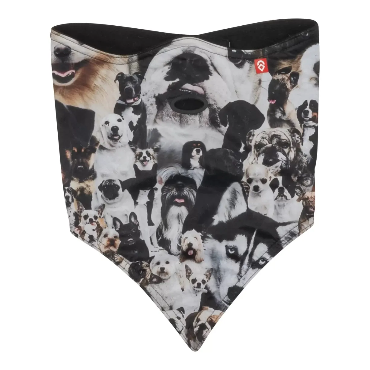 Airhole Facemask Standard