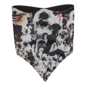Airhole Facemask Standard