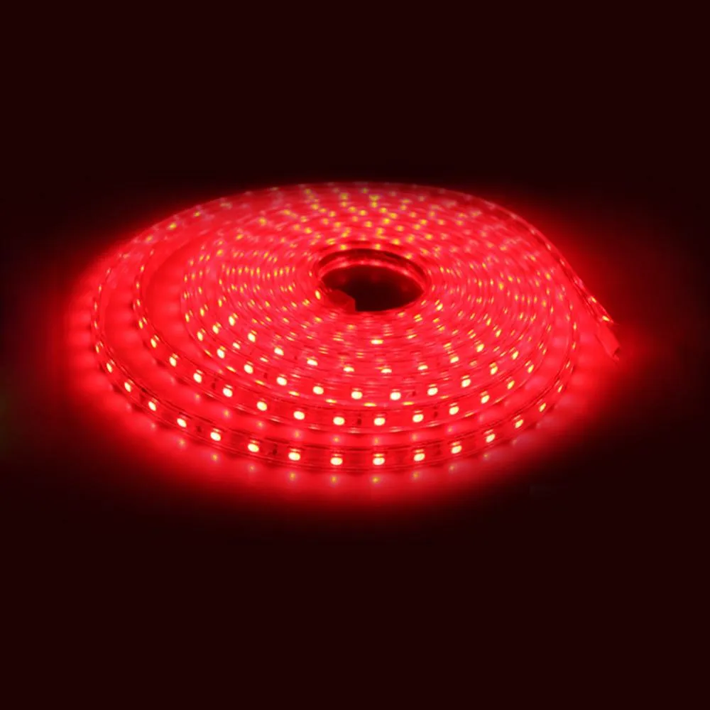 LED RGBW Strip Light Kit 120V AC 16 ft Reel