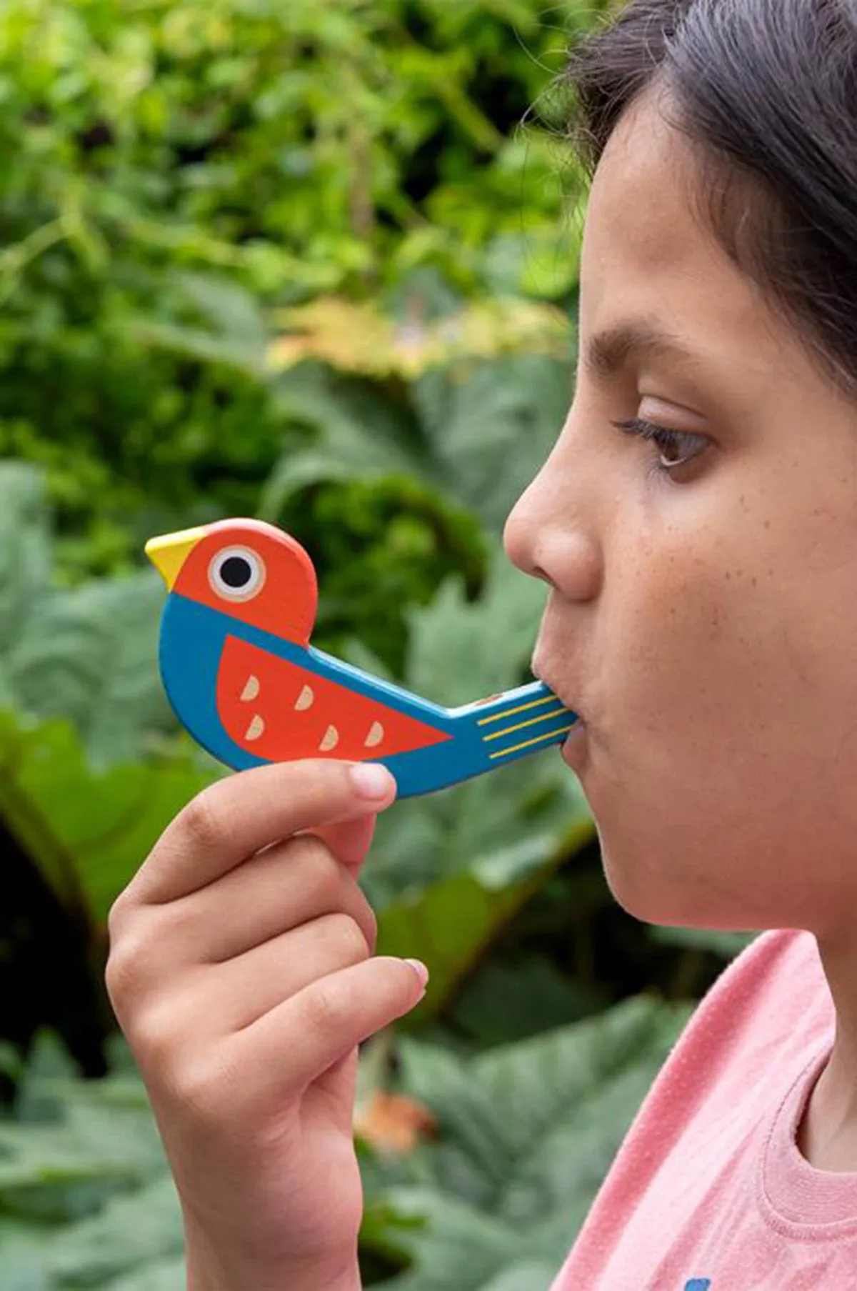 Wooden Bird Whistle